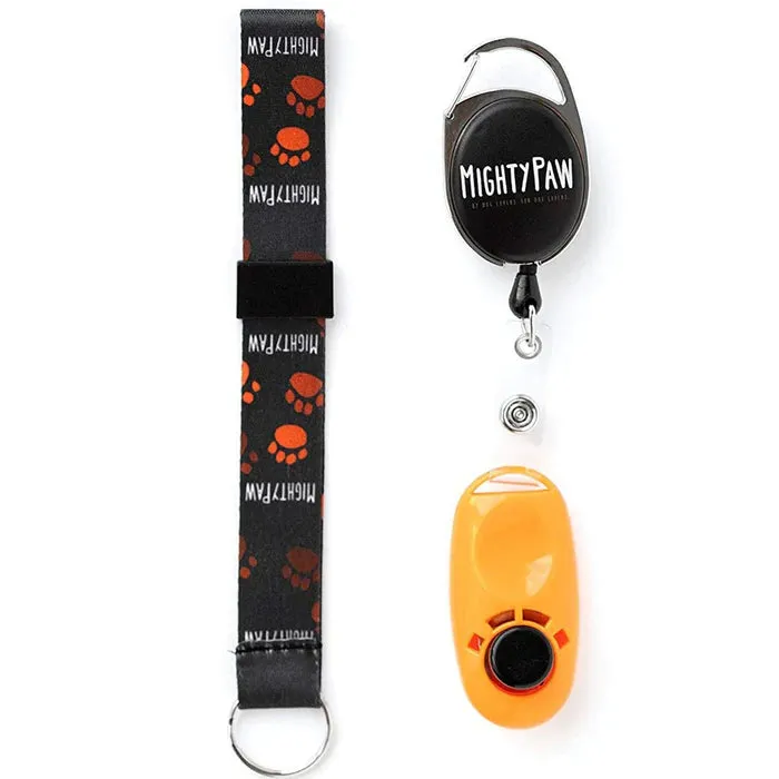 Essential Dog Training Tools with Leash and Clicker