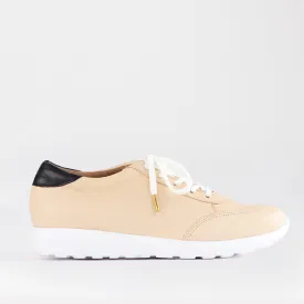 Lace-up Sneaker in Cream Multi - 12594